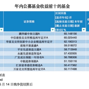 同为“明星”收益差近90%！金梓才多只基金垫底，闫思倩领跑赚65%，23年冠军基再大赚 ...