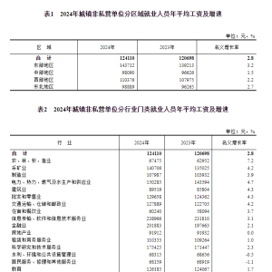 国家统计局：2024年全国城镇非私营单位平均工资为124110元，同比增长2.6%；私营单位平 ...