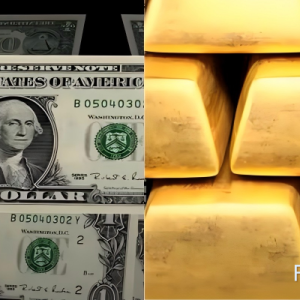 3.7万 vs 11万！小非农“暴击”美元，降息预期重燃黄金多头？ ...