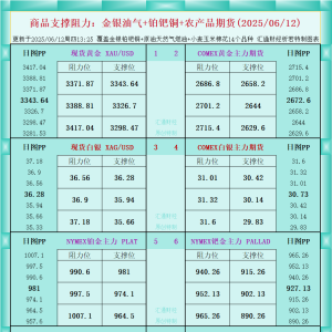 一张图看商品支撑阻力：金银油气+铂钯铜农产品期货(2025年6月12日) ...