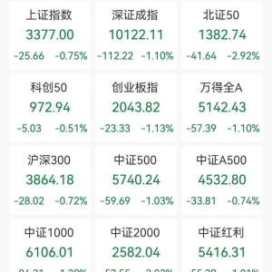 A股收评：三大指数放量下跌，创业板指跌1.13%北证50跌2.92%，黄金、石油及天然气等板 ...