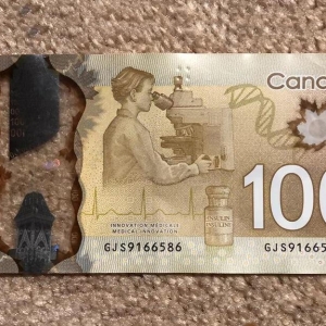 避险驱动难敌基本面压制，美元/加元陷入下行通道