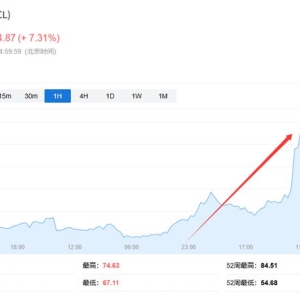 美国说不！欧洲想降俄油价格上限遭拒