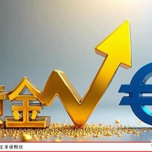 巨变：反超欧元，黄金成全球第二大储备资产！美元仍然排名第1？ ...