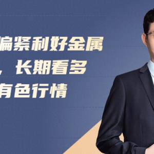 供需偏紧利好金属价格，长期看好工业有色行情