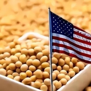 中国没买美国大豆，沉默11天后，特朗普回应来了，对华发起新制裁 ...