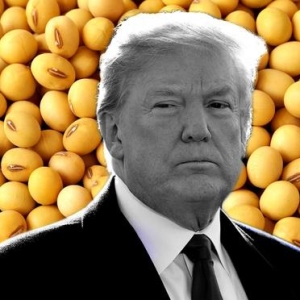 中国一粒美国大豆都不用，这一招太精准了，直击特朗普基本盘 ...