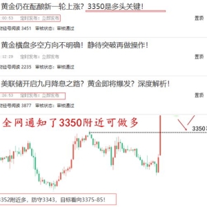 赵兴言：黄金开盘跳涨3351多单爆赚！3363做好二次看涨！