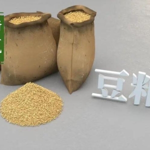 压力松动，豆粕要动？