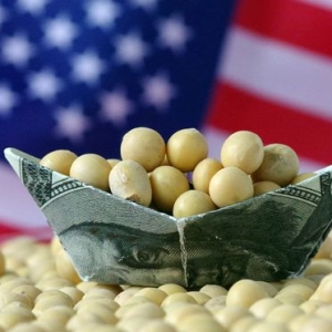 不买美国大豆，沉默十余天后，特朗普报复来了，对中方发起新制裁 ...