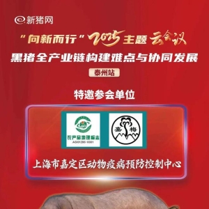 嘉定梅山猪邀您参会 | “向新而行·泰州站”黑猪全产业链发展云会议 ...