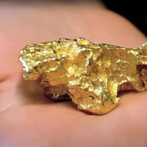 黄金交易提醒：特朗普“斩首”美联储引爆金市！一场全球资本大逃亡正在开始 ...