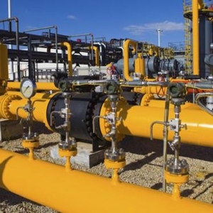 2025-2030年中国环氧棉籽油行业市场深度调研及发展前景预测报告 ...