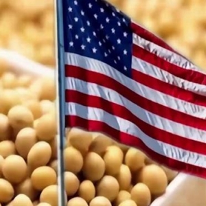 中国一粒美国大豆都不用，这一招太精准了，直击特朗普基本盘 ...