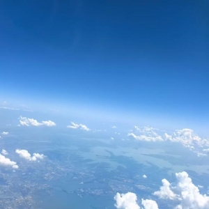 2025年8月27日金乡量价齐升，杞县微涨企稳