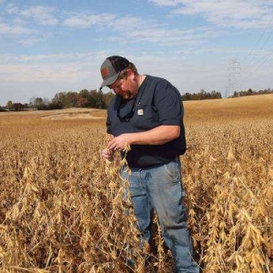 反噬来了，美国大豆彻底凉凉！农民绝望致信白宫：我们撑不住了！ ...