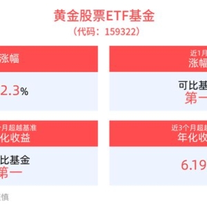 黄金股中期配置价值凸显，黄金股票ETF基金(159322)当下备受关注 ...