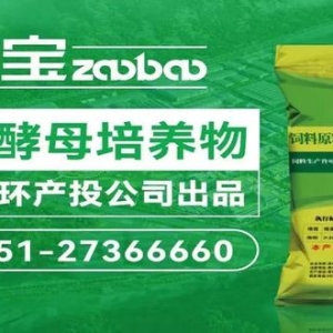 2025年8月28日国内饲料原料行情汇总