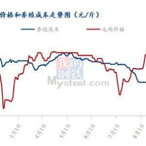 Mysteel解读：9月份毛鸡价格区间预测及走势分析