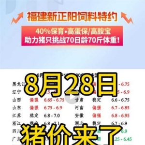 8月28日猪价来了！