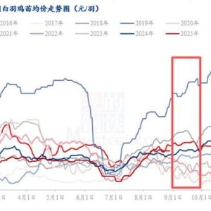 Mysteel解读：2025年9月份白羽鸡苗趋势分析预测
