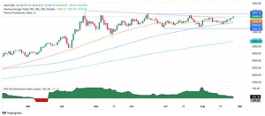 黄金突然爆发的原因在这！金价大涨近20美元创五周新高 分析师黄金技术分析 ...