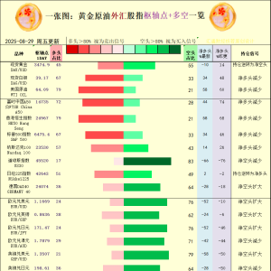 一张图：2025年8月29日黄金原油外汇股指“枢纽点+多空持仓信号”一览 ...