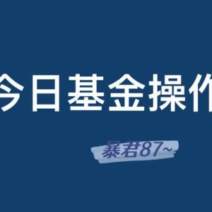 8.29操作：黄金、白酒、半导体以及医疗等板块操作