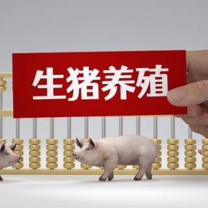 猪价“跳水”养殖反“盈利”，成本下降成关键“防火墙”