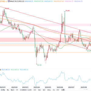 原油分析：看涨动能正积聚，俄乌谈判陷入停滞