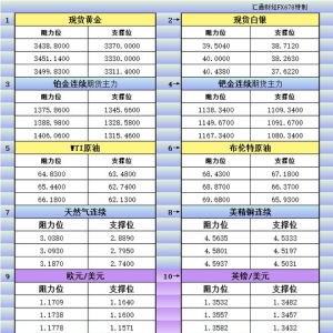 8月29日美市更新支撑阻力：18品种支撑阻力(金银铂钯原油天然气铜及十大货币对) ...