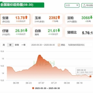 活猪降重出栏接近尾声+收储加持，9月猪价能否翻身突破15元？ ...