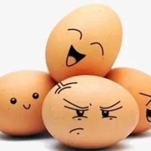 2025年8月30日鸡蛋价格最新报价行情参考