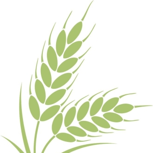 前沿观察 | 油价有望实现周线回升！