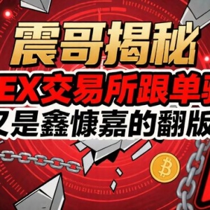震哥揭秘：HHEX交易所跟单骗局，又是鑫慷嘉的翻版！