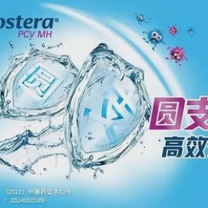 大比拼！生猪链上，谁赚得盆满钵满，谁在咬牙苦熬？