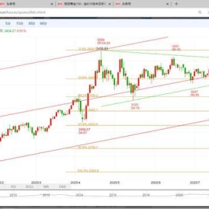 现货黄金(19)：成功看多近百美元 未来还有几多空间