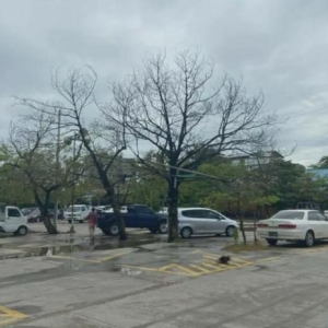 避险资产转换？缅甸曼德勒车市动荡！