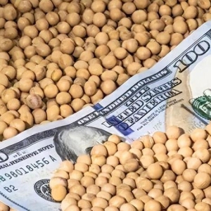 中国不购买美国大豆后，特朗普对华发起新制裁