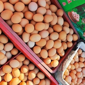 8月31日：调价后92/95号汽油价格；蛋价陡然降温，顺势下跌！