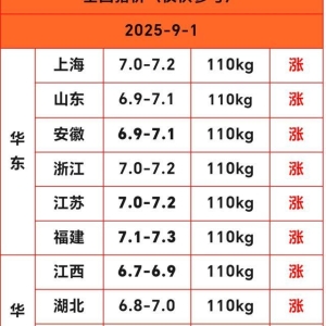 上涨为主！2025.9.1明日猪价，猪价终迎来上涨