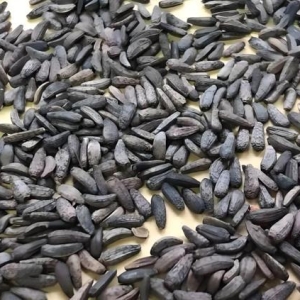 十年低价重现！这些药材行情是否触底？抄底建仓时机到了吗？ ...