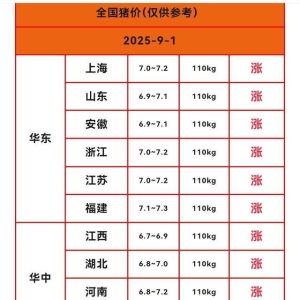 【明天猪价】2025.9.1 猪价开门红，全面反弹，9月猪价会好吗？ ...