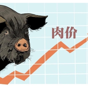 猪价“暴跳上涨”，21地猪价飘红，接下来又是一波大涨？