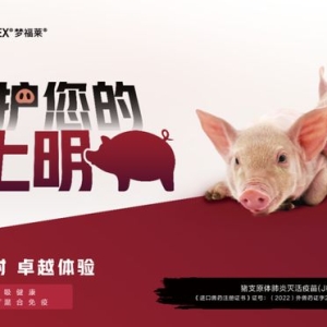 今日起生猪入粤只能走这27个检查站！广东猪价或大涨【勃林格特约·猪业视野】 ...