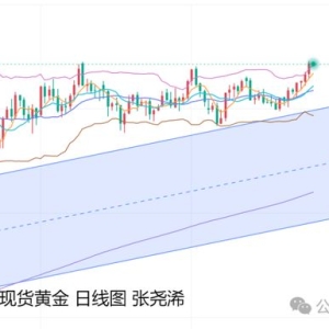 张尧浠：金价反弹目标如期触及、今日关注阻力回撤风险