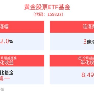 黄金股持续拉升，黄金股票ETF基金(159322)涨超3%