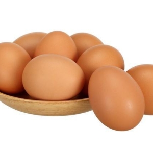 2025.9.1日参考鸡蛋价格