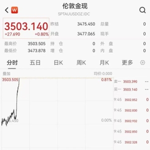 金价，大涨！创历史新高