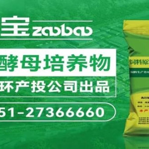 2025年9月3日国内饲料原料行情汇总